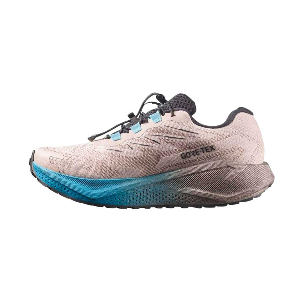 Zapatilla Salomon Aero Blaze 4 GRVL GTX L45403300