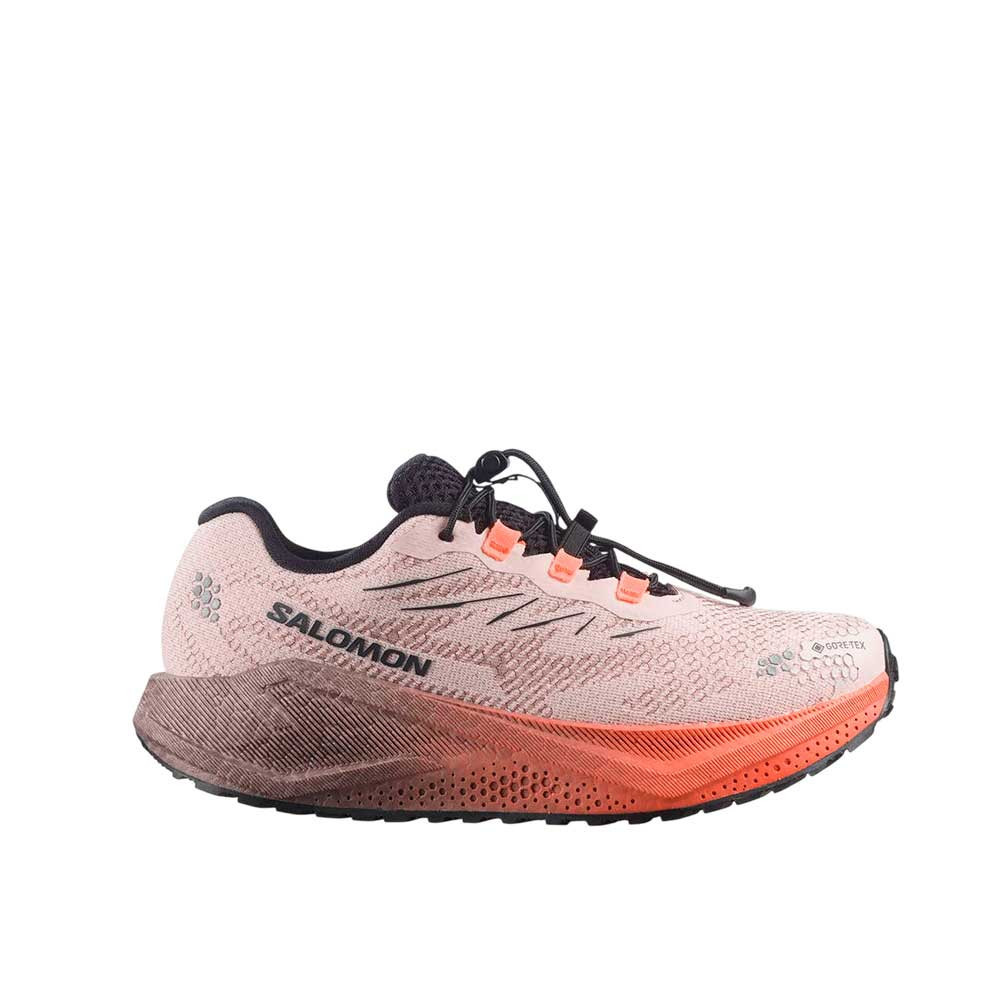 Zapatilla Salomon Aero Blaze 4 GRVL GTX L45404000