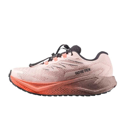 Zapatilla Salomon Aero Blaze 4 GRVL GTX L45404000