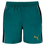 Bañador Puma 701237076-003