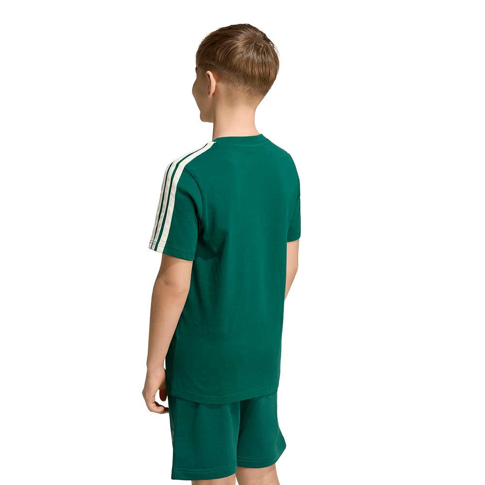 Camiseta adidas College KE1639