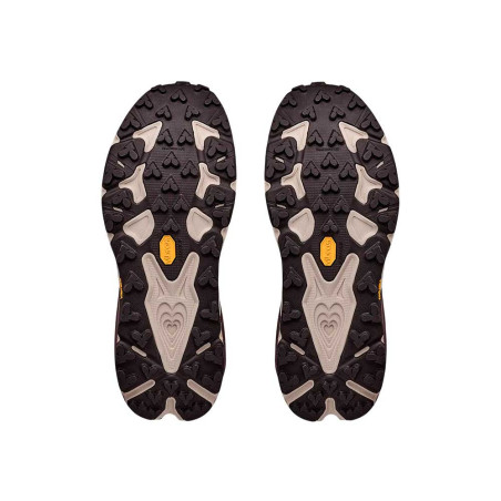 Zapatilla Hoka One One Speedgoat 7 GTX 0001176674-SHC