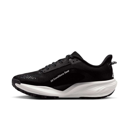 Zapatilla Nike ACG Pegasus Trail HV8121-001
