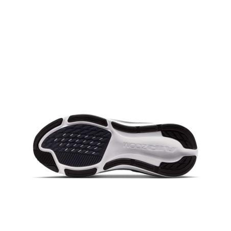 Zapatilla Nike Air Zoom Pegasus 42 IH2306-109