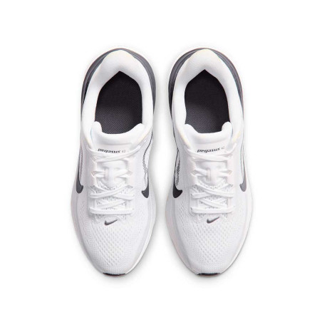 Zapatilla Nike Air Zoom Pegasus 42 IH2306-109