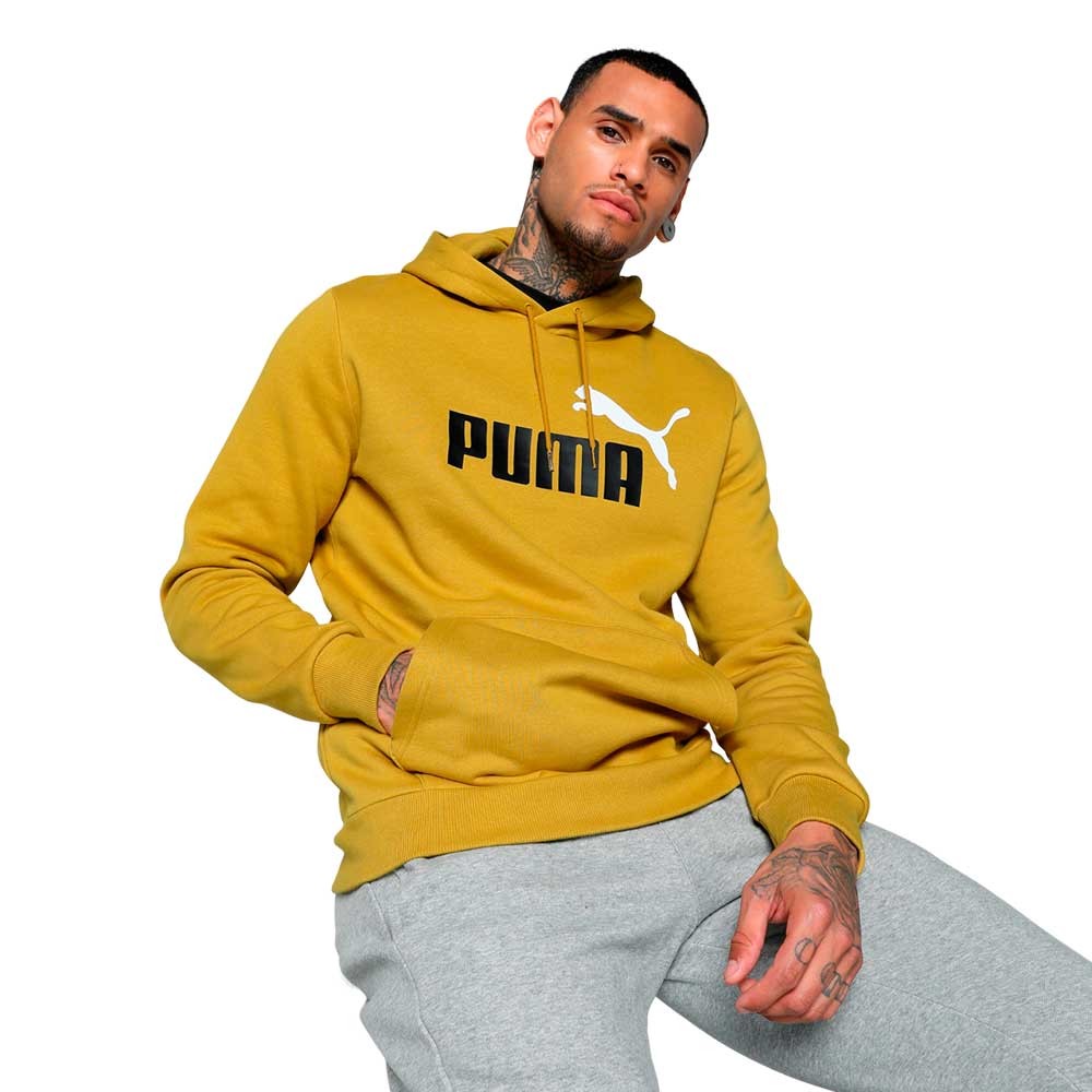 Sudadera Puma Essential 586764-29