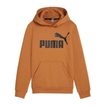 Sudadera Puma Essential 586965-20