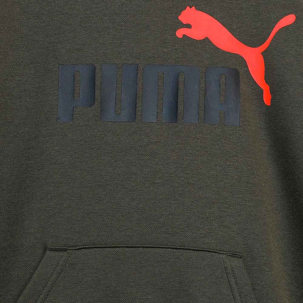 Sudadera Puma Essential 586987-77