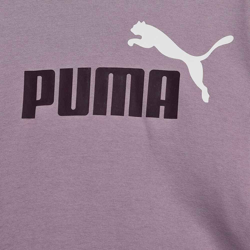 Sudadera Puma Essential 671134-34