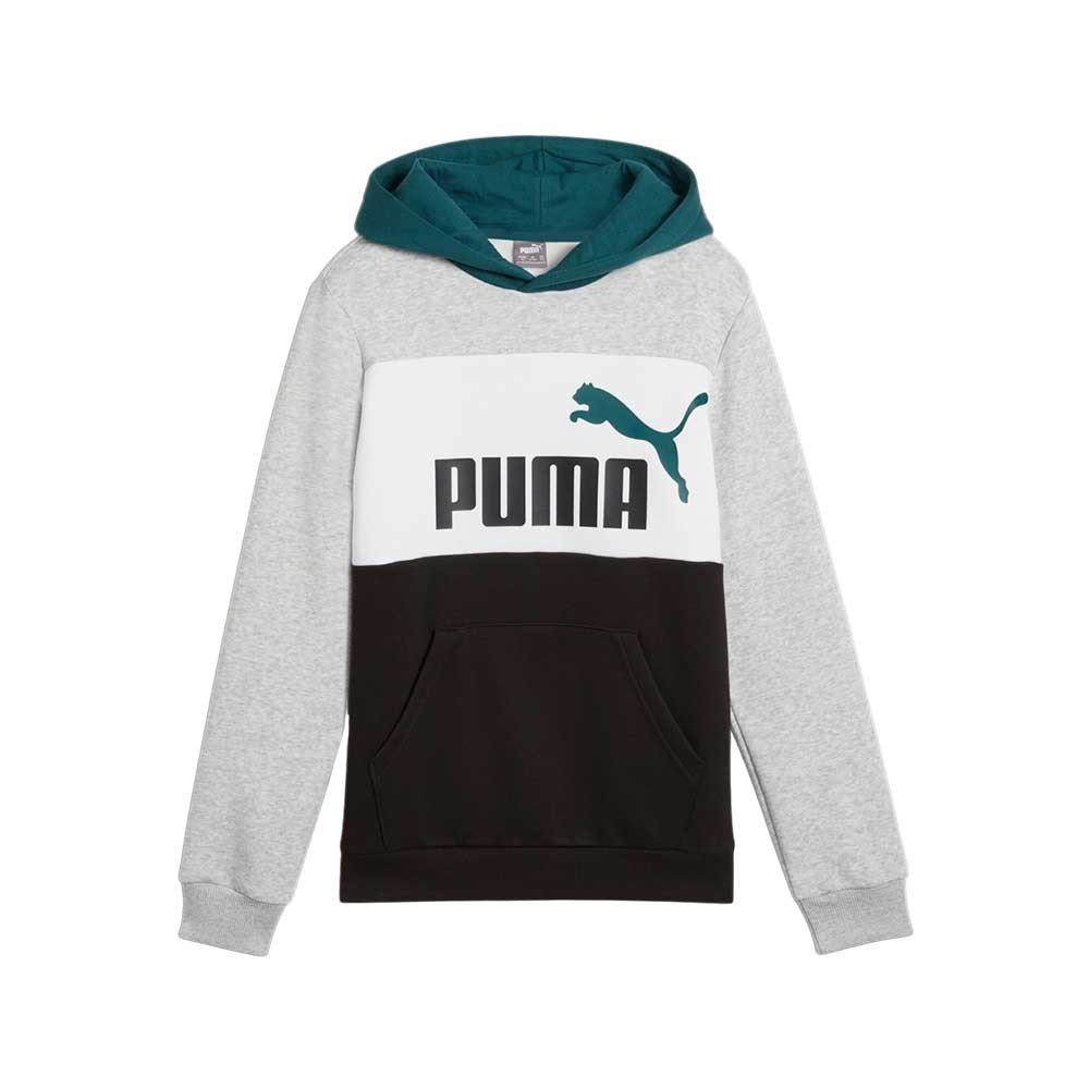 Sudadera Puma Essential 979717-04