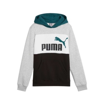 Sudadera Puma Essential 979717-04