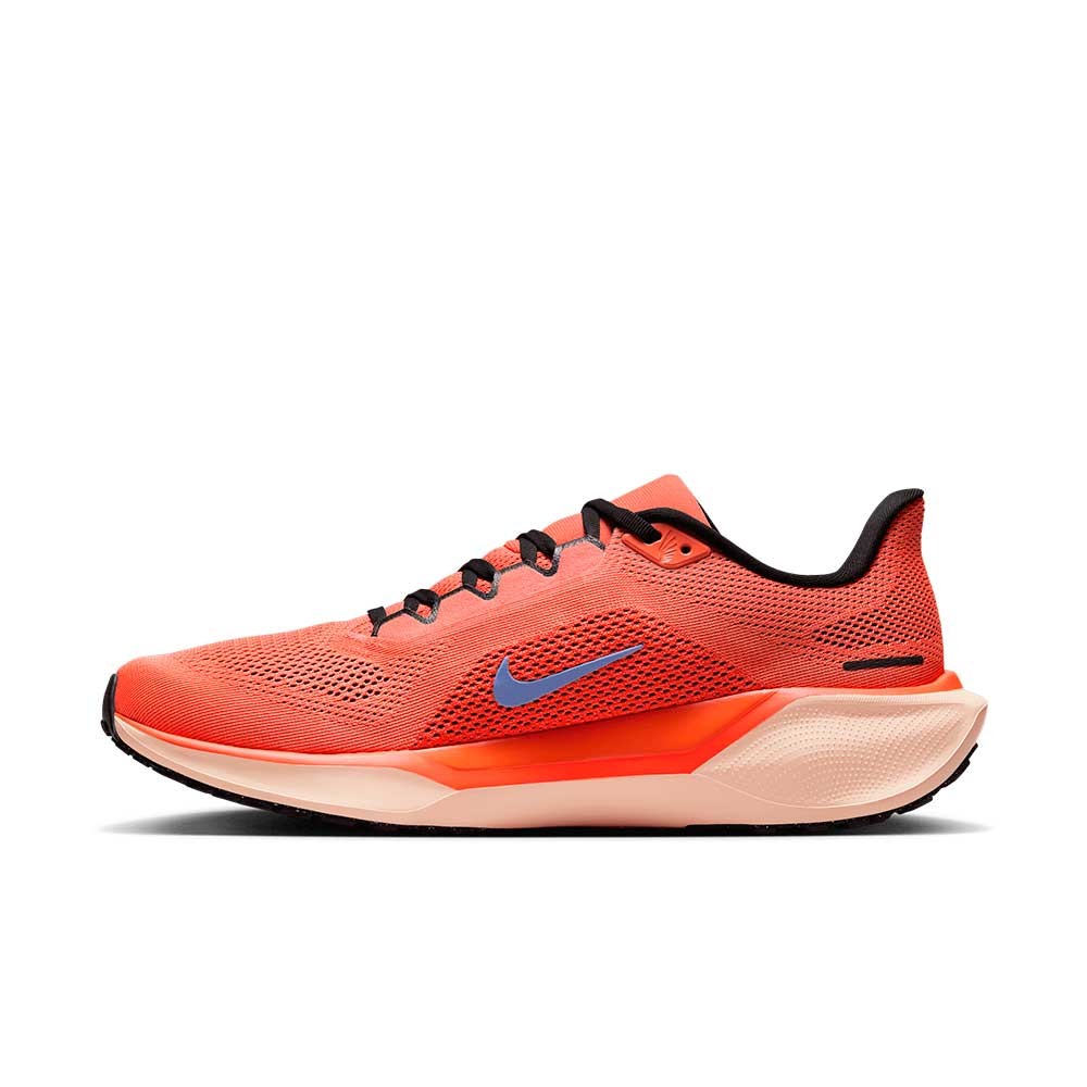 Zapatilla Nike Air Zoom Pegasus 41 FD2722-600