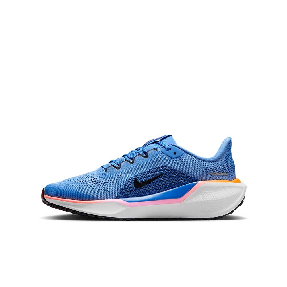 Zapatilla Nike Air Zoom Pegasus 41 FN5041-403